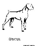 dogs coloring pages  printable colouring pages  kids  print