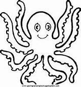 Acquatici Colorare Disegni Coloring Octopus Cima sketch template