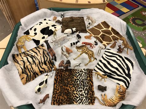 eyfs sorting animals  fur patterns animal learning dear zoo