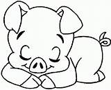Porco Sleeping Schwein Everfreecoloring Coloring4free Bfree Animais sketch template