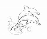 Dolphin Coloring Pages Drawing Cute Template Print Printable Jumping Line Kids Animal Dolphins Colouring Para Delfines Colorear Dibujos Realistic Templates sketch template