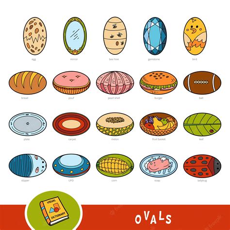 colorido conjunto de objetos de forma ovalada diccionario visual  ninos sobre formas