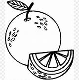 Jeruk Mewarnai Buah Frutas Laranja Sketsa Fruta Oranges Pohon Gambarcoloring Toppng Terbaru Buahan Diwarnai Menggambar Pintar Bojanka Brindes Belajar Crianças sketch template