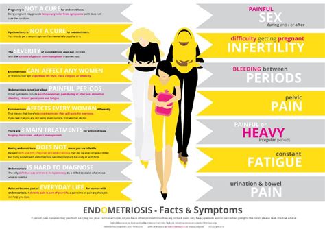 What Is Endometriosis The Pelvic Expert