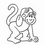 Macaco Animais Figura Imagensemoldes Links sketch template
