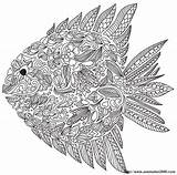 Fisch Ausdrucken Mandalas Ausmalbild Decorare Pesce Vielen Adulti Peixe sketch template