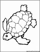 Coloring Tortoise Pages Fun Activities Kids sketch template