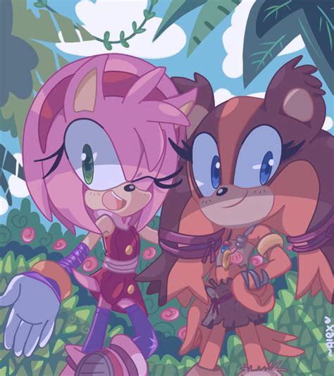 The Girls Sonic Amy The Hedgehog Sonic Fan Characters