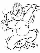 Coloring Pages Realistic Ape Apes Kids Printable Below sketch template