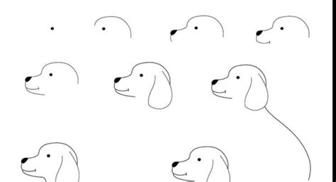 tekening van een hond