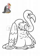 Vulture Griffon Designlooter sketch template