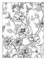 Coloring Pages Flowers Flower Floral Beautiful Adult Detailed Book Designs Issuu Colouring Preview Books Adults Sheets Color Choose Board sketch template