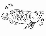 Cod Coloring Para Colorear Atlantic Bacalao Dibujo Pages Fish Dibujos Coloringcrew Animales Del Getcolorings Color Getdrawings Drawing A4 sketch template