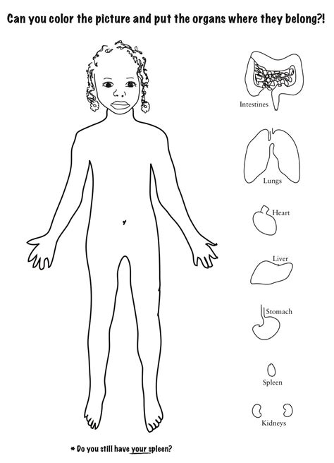 human body coloring pages    print