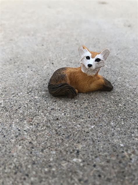 miniature fox sprouted dreams