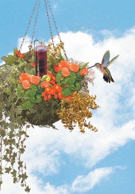 container gardens  hummingbird butterflies ideas flowers