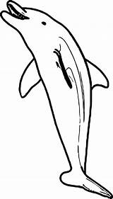 Dolphin Wecoloringpage sketch template