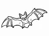Bat Clipart Color Pages Colouring Coloring Drawing Clip Line Library sketch template