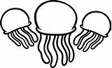 Jellyfish Qualle Medusas Jelly Ausmalbilder Ausmalbild Letzte sketch template