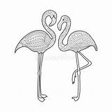Flamingo Flamant Adultes Zentangle Flamingos Erwachsene Oiseau Adulte sketch template