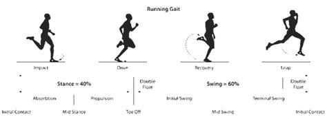 running mechanics  evolution   running shoe endurelite