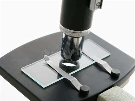 microscope stock photo image  biochemistry