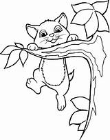 Tree Cat Coloring Pages Clipart Sitting Branches Branch Colouring Friends Clip Cliparts Happy Kids Climbed Cats Buzzard Animal Sheets Climbing sketch template
