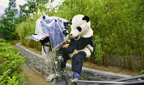 Director Of Pandas 3d Lugging Cameras Around China In