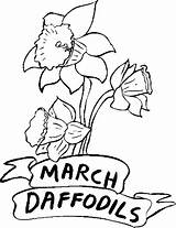 Birthstone Coloring Daffodils March Flower Pages sketch template