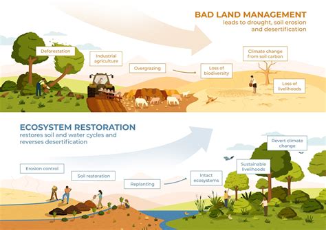 decade  ecosystem restoration   plan  ensure sustainability  save  planet