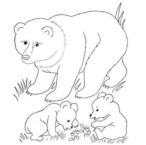 drawings  bear cubs google search printable flower coloring pages