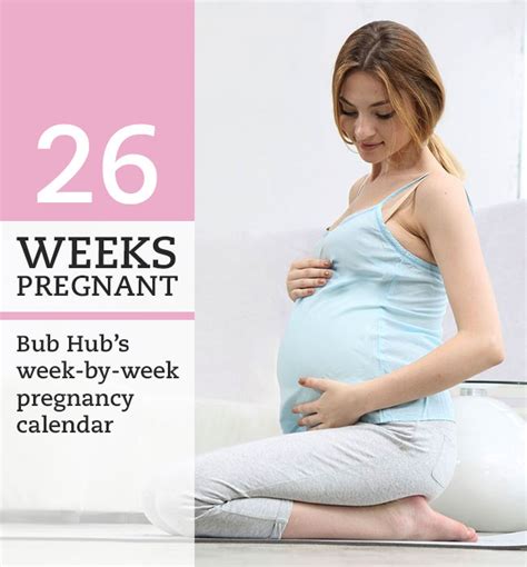 26 Weeks Pregnant Week By Week Pregnancy Calendar Bub Hub