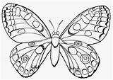 Schmetterling Schmetterlinge Ausmalbilder Ausmalbild Motyl Borboleta Kolorowania Raupe Colorir Druku Tiere Schmetterlings Stadriemblems Raskraska sketch template