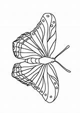 Butterfly Coloring Pages Butterflies Kids Color Flying Beautiful Big Patterns Wings Different Clipartqueen sketch template