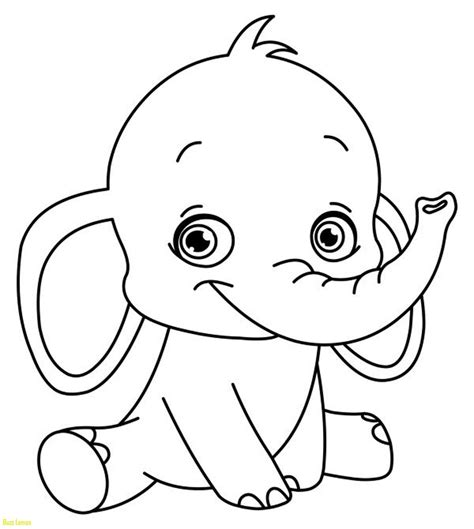 printable traceable animals printable coloring pages