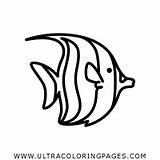 Coloring Pages Moorish Idol Fish sketch template