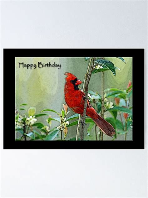 happy birthday cardinal card poster  sale  bonnie  barry