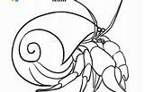Hermit Coloring Crab Pages Category sketch template