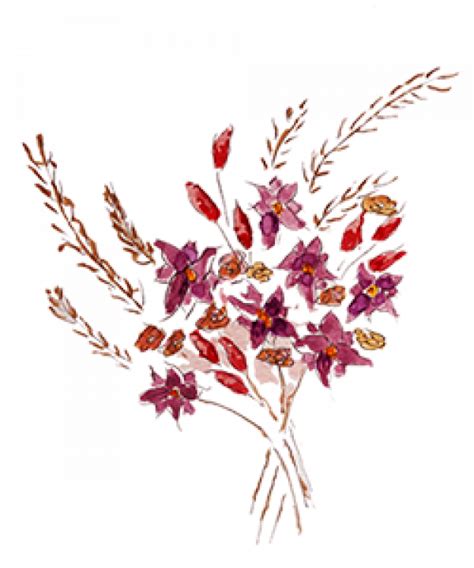 dry flowers  png image png arts