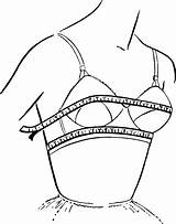 Bra Size Breast Women Measurements Measurement Take Coloring Pages Sizes Chart Measuring Bras Breasts Shapes Wikipedia Perfect Measure Anatomy Research sketch template