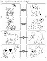 Coloring Pages Opposites Animal Color Faster Clipart Cartoon Kids English Printable Activity Educational Each Look Print Popular Conflict sketch template