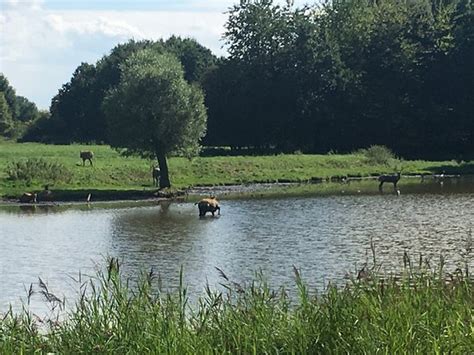 natuurpark lelystad           tripadvisor