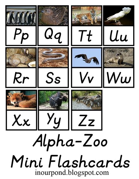 alpha zoo phonics chart   pond
