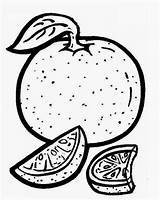 Laranja Frutas sketch template