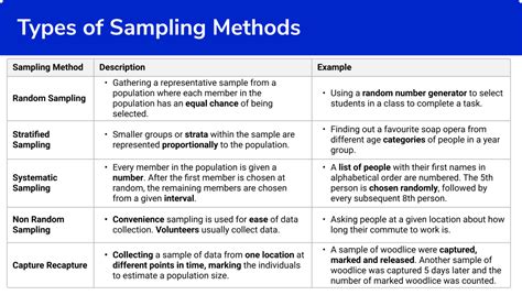 sampling methods practice worksheet