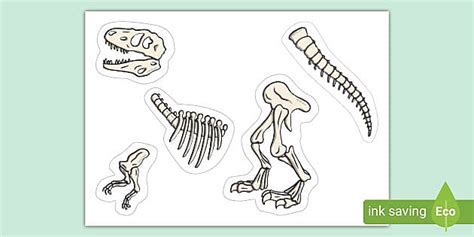 dinosaur skeleton activity teacher  twinkl