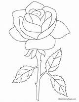 Rose Big Coloring Pages Colouring sketch template