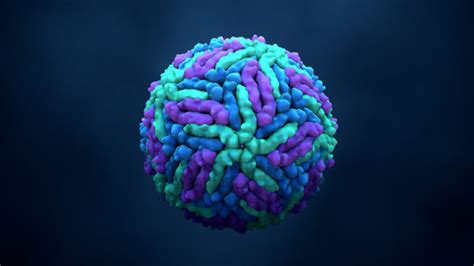 zika virus outbreak  curacao  bonaire  report based  laboratory diagnostics data