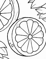 Coloring Orange Pages Oranges Kids Fruit Drawing Printable Colouring Sheet Numerous Equipments Educational Getdrawings Books Top Popular Choose Board sketch template
