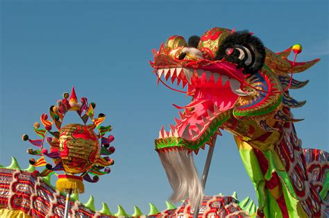 year   dragon  chinese lunar  year  pics